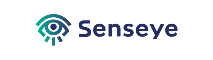 The Future of Computer Vision with AI Pioneer Senseye